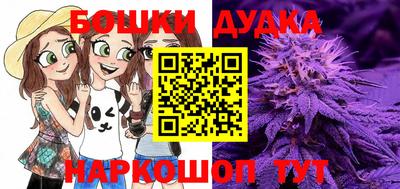 гашик Кунгур
