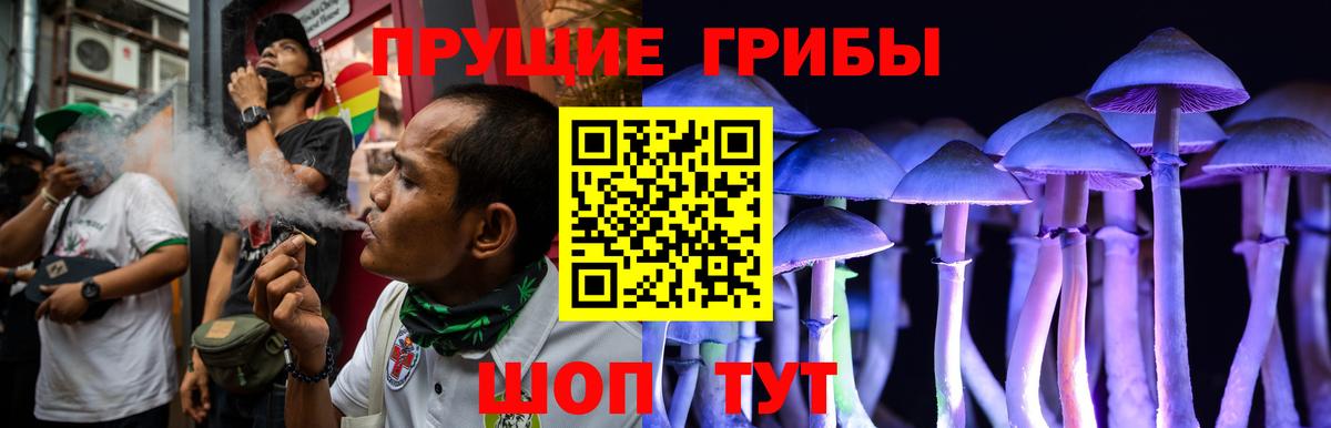 цена наркотик  Галлюциногенные грибы Psilocybine cubensis  Вход с VPN  Зерноград 